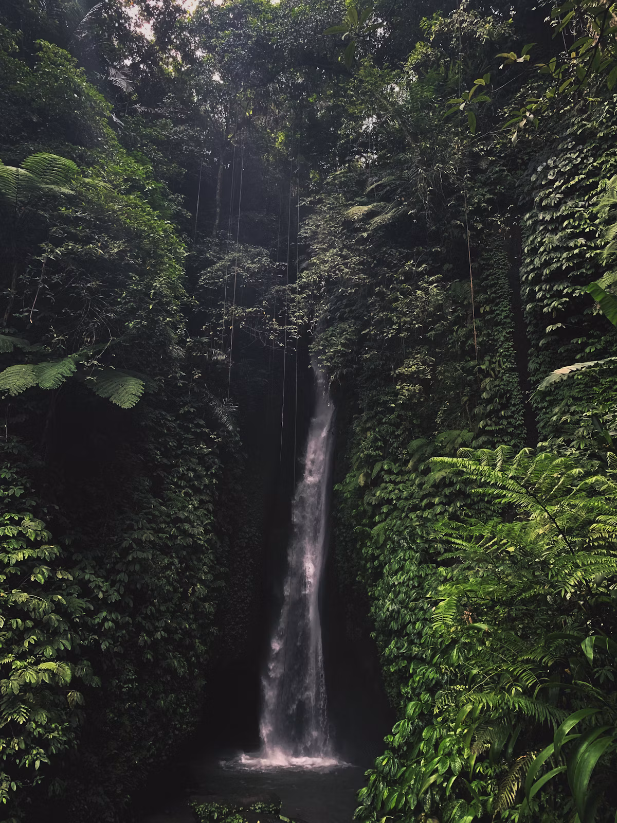 Munduk 3-Waterfall & Highland Coffee Plantation Trek