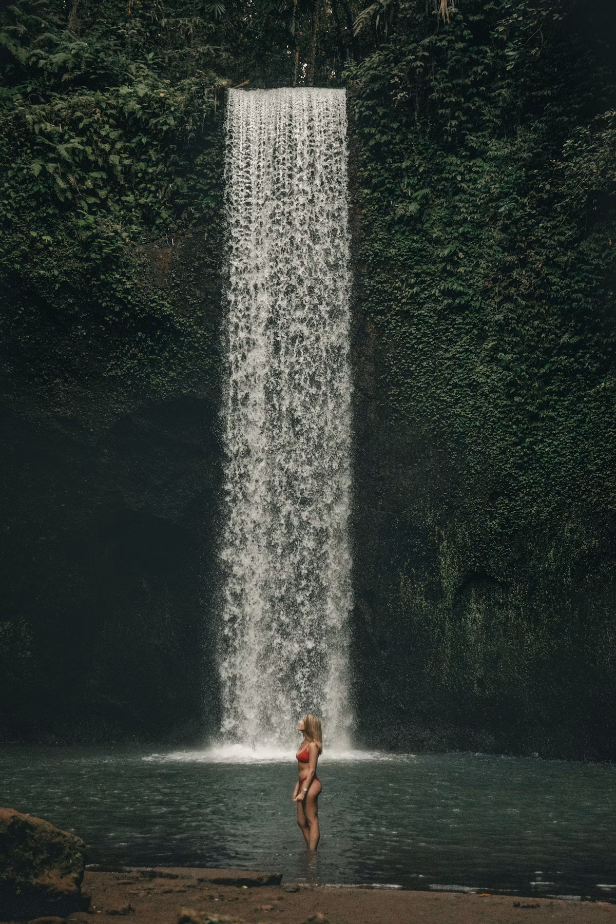 Sekumpul & Fiji Waterfalls Comprehensive Jungle Canyon Trek