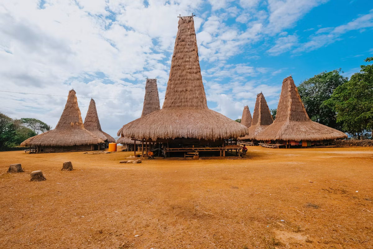 Takpala Tribal Village Cultural Immersion & Moko Drum Tour