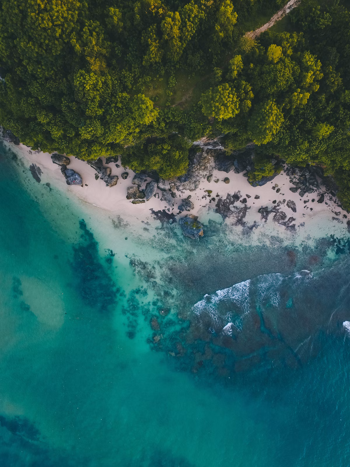 Uluwatu Coastal Cliffs & Hidden Surf Breaks Guided Tour