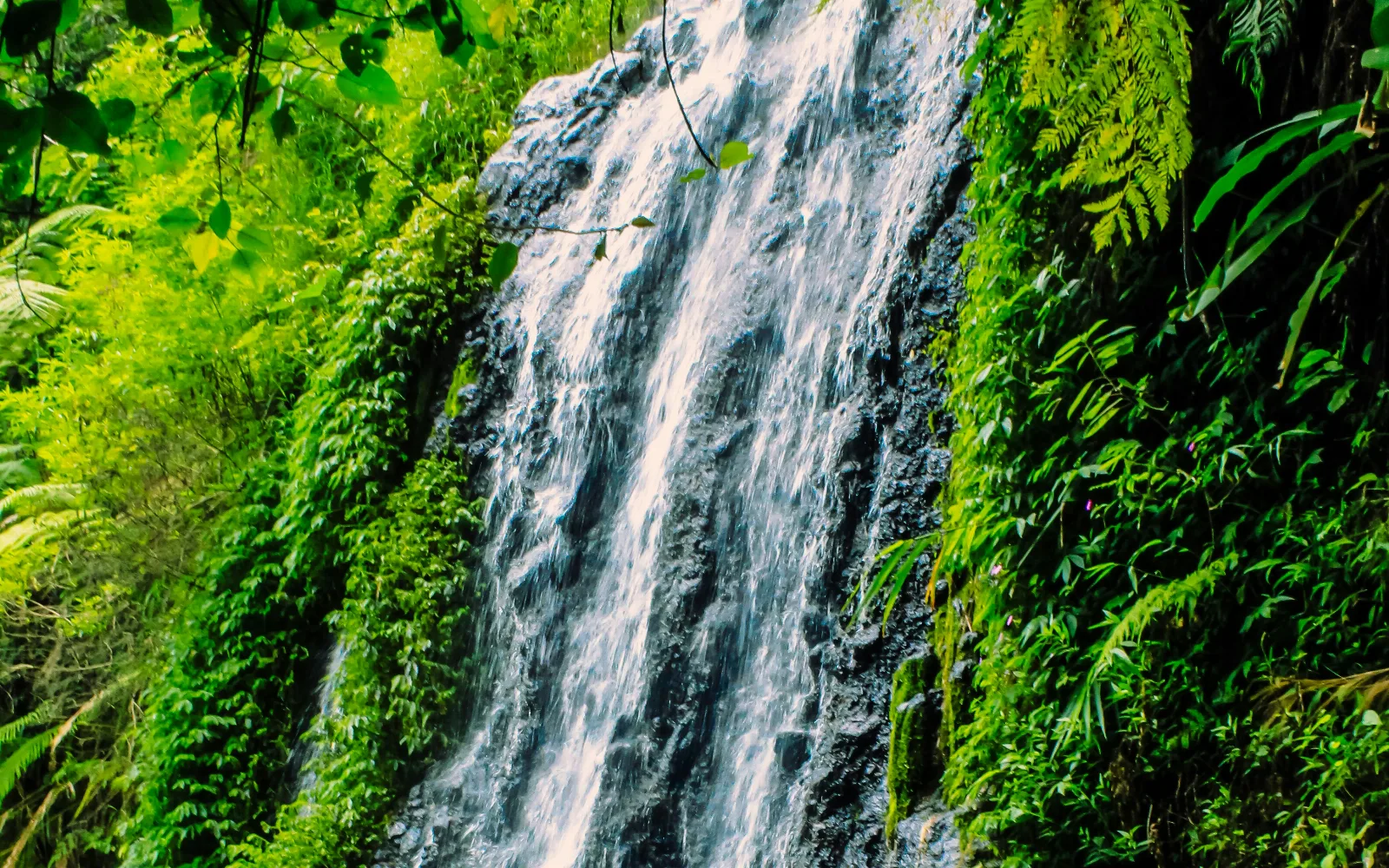 Campuhan Antapan Waterfall