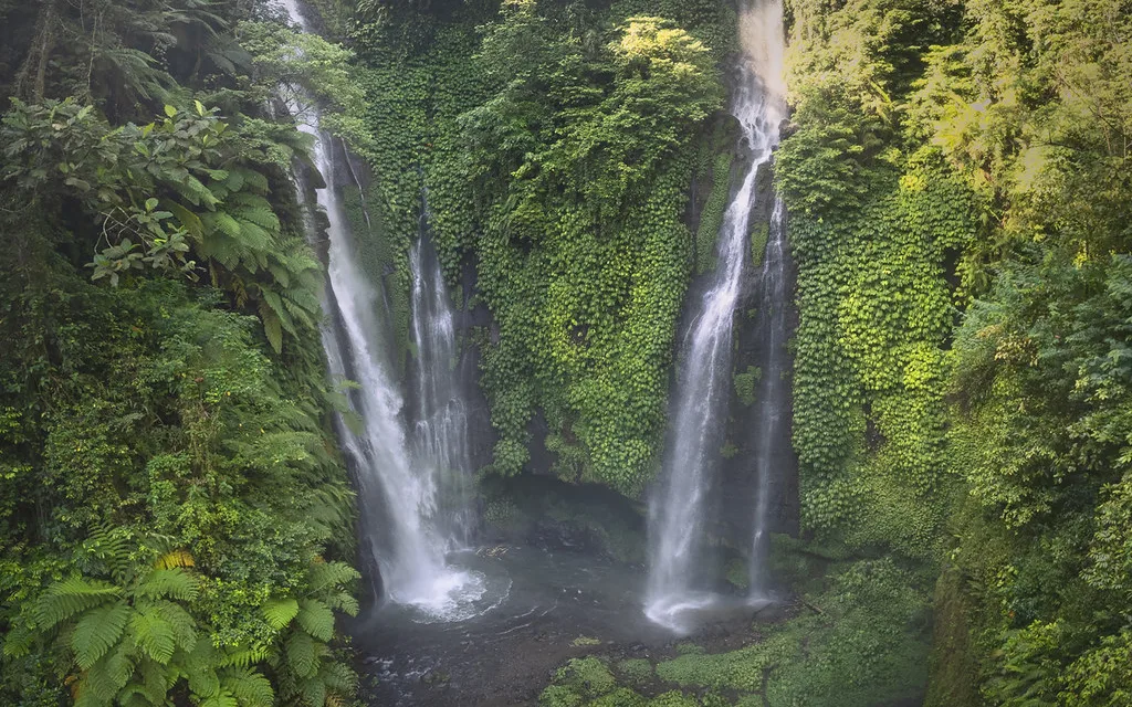 Fiji Waterfall (Triple Falls Lemukih)