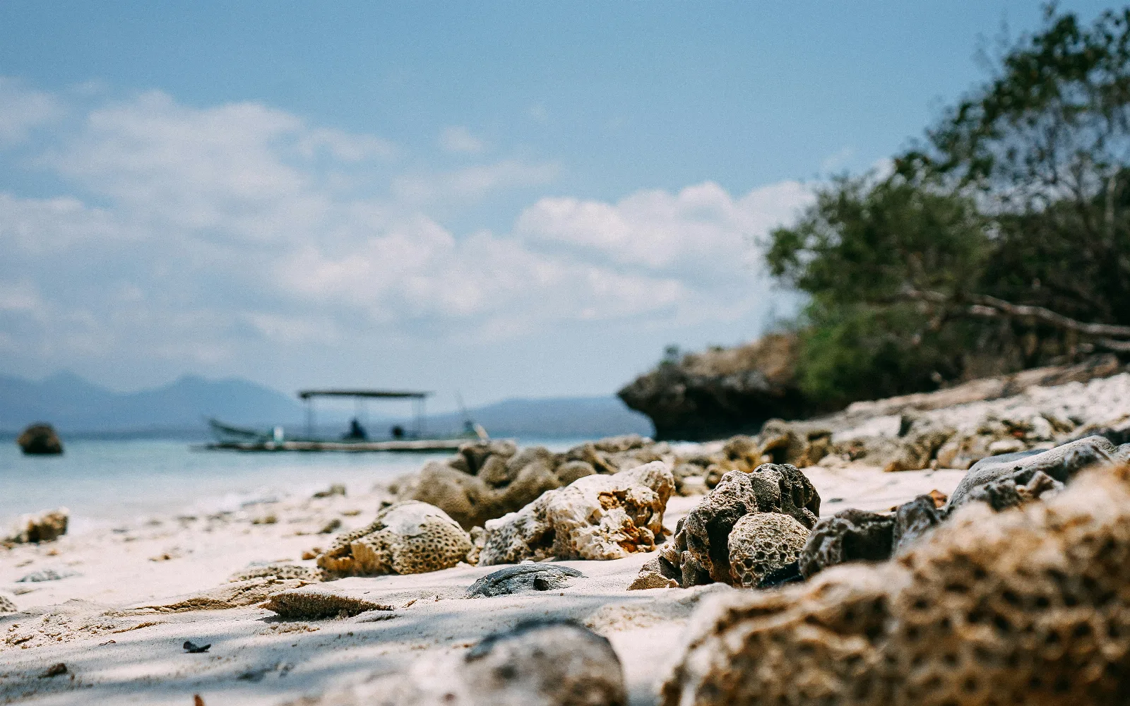 Menjangan Island Marine Park