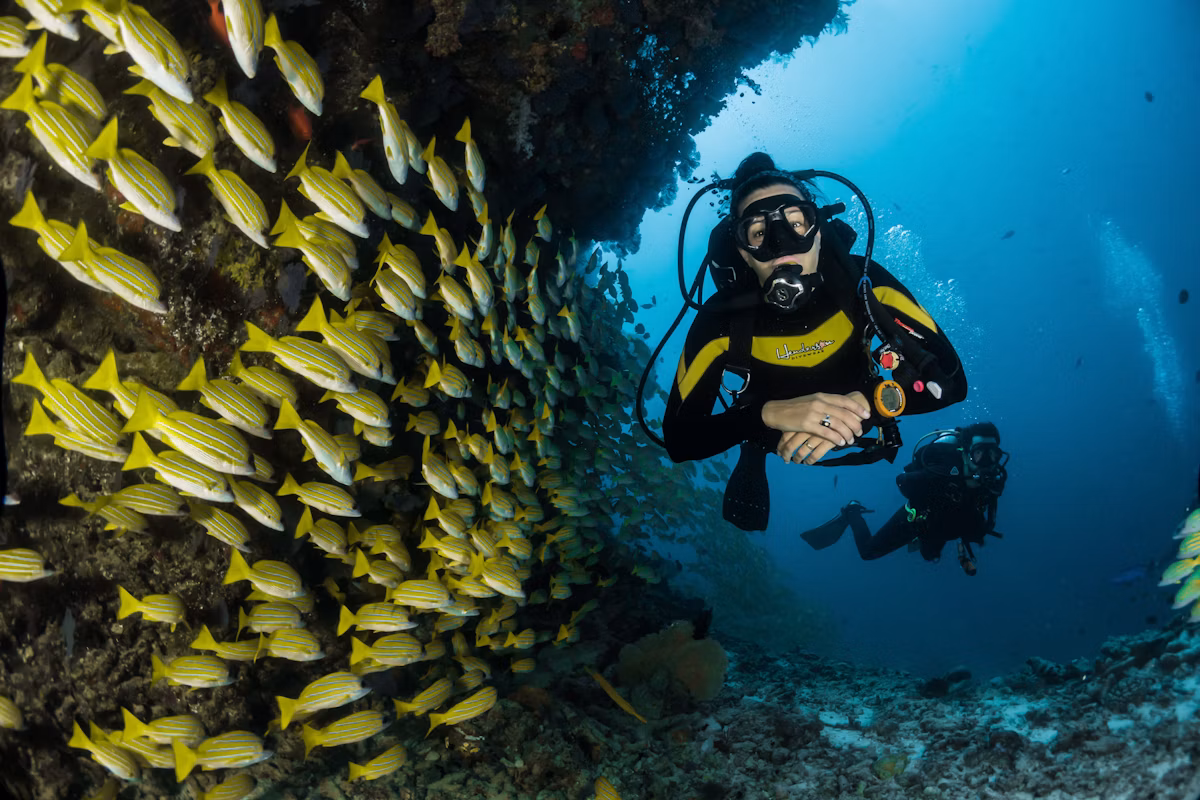 Pemuteran Bio-Rock Coral Sanctuary & Menjangan Gateway