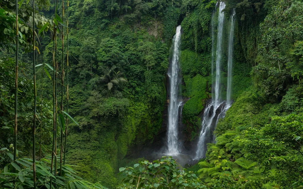 Sekumpul Waterfall