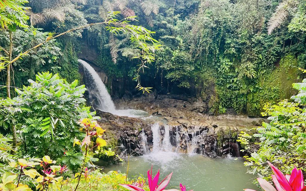 Taman Sari Waterfall & Natural Pool