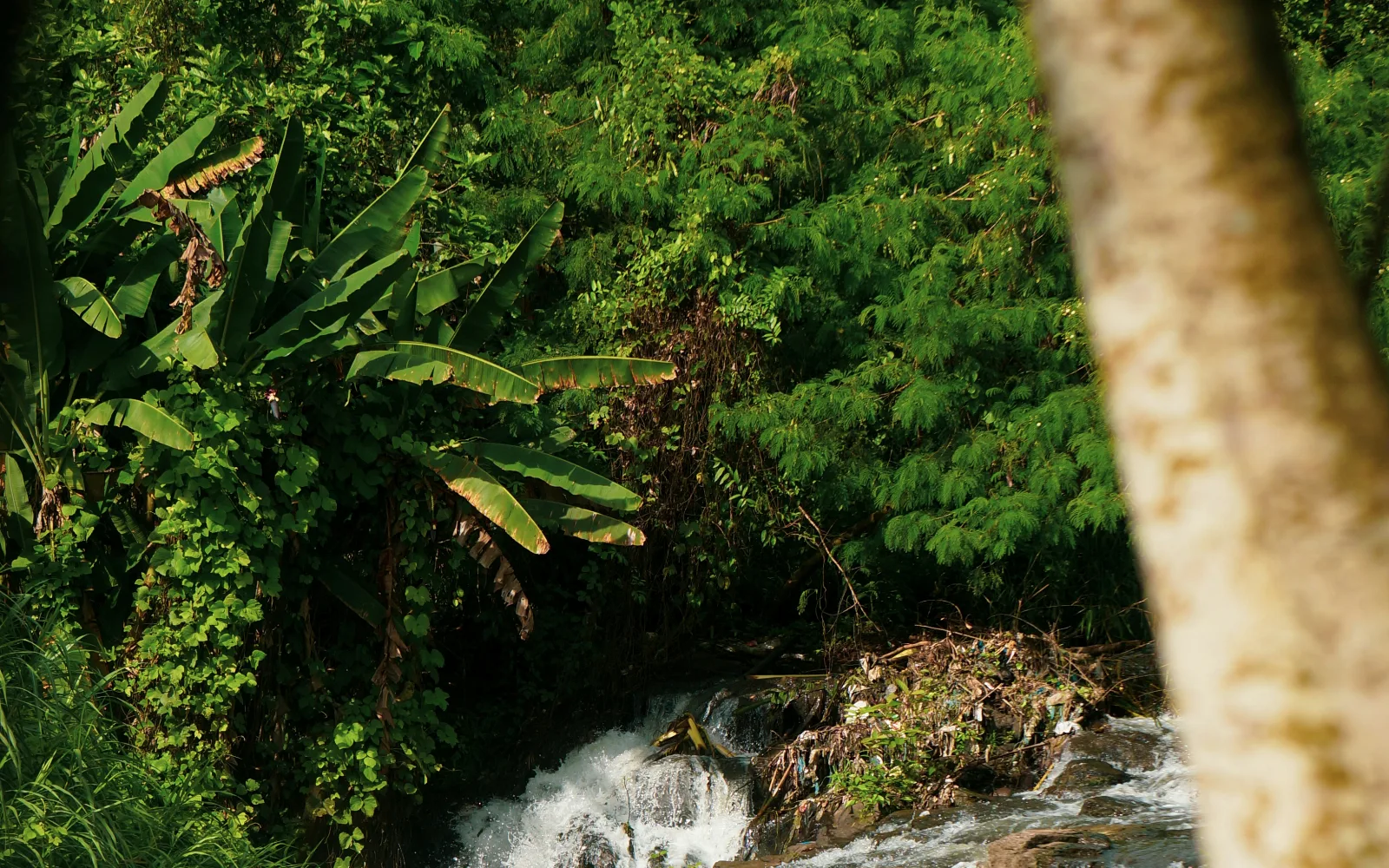 Yeh Hoo Waterfall (Jatiluwih)