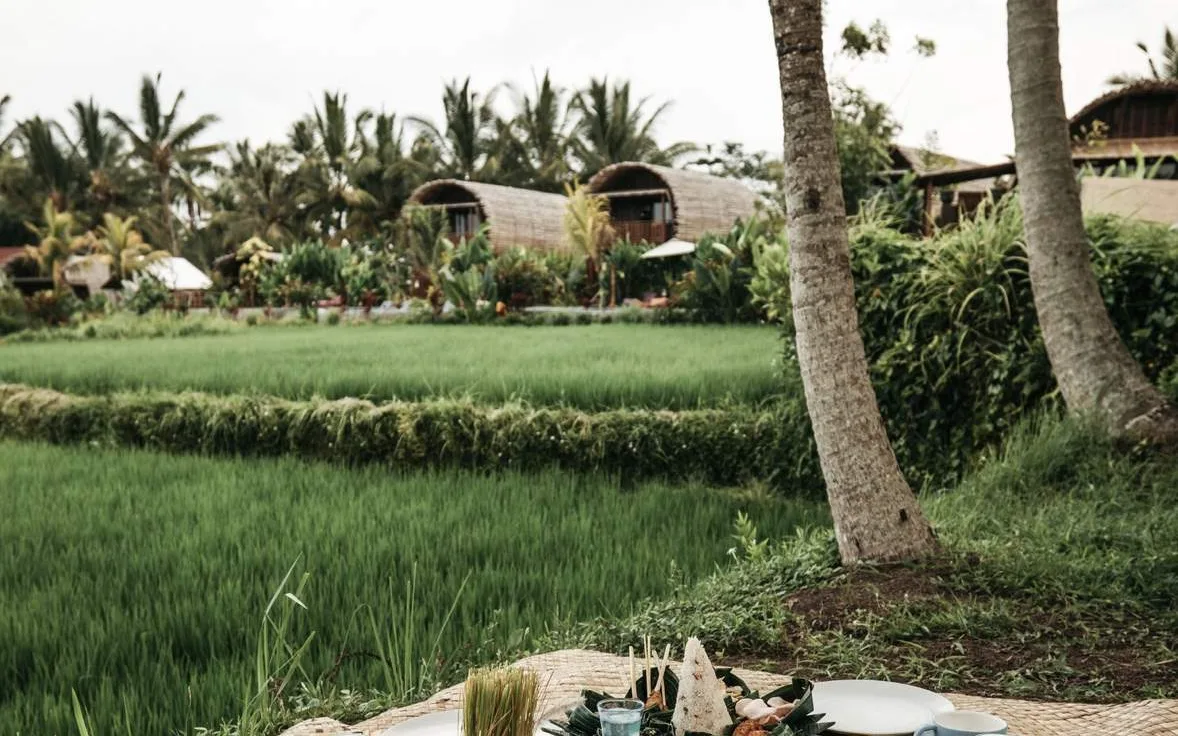 Bee Cafe Ubud