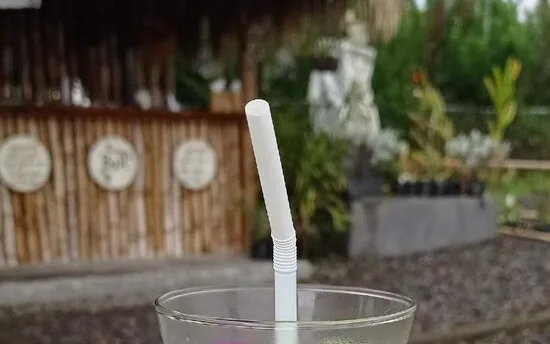 Besakih Restaurant