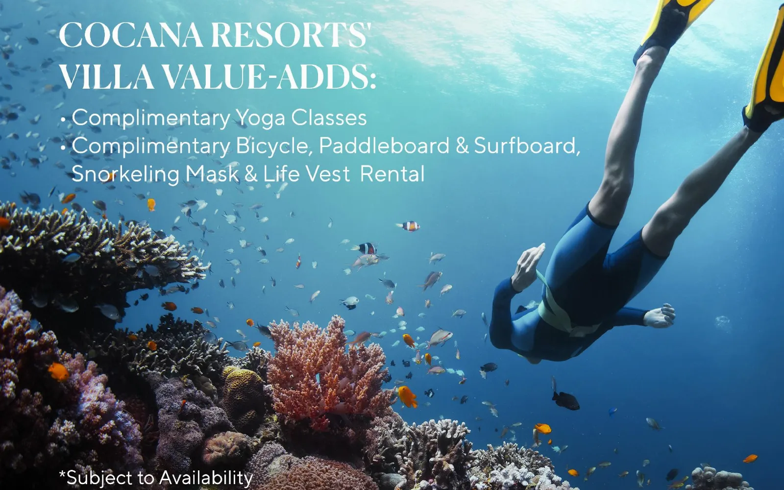 Cocana Beach Club & Restaurant
