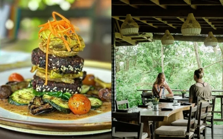 Ecosix Restaurant