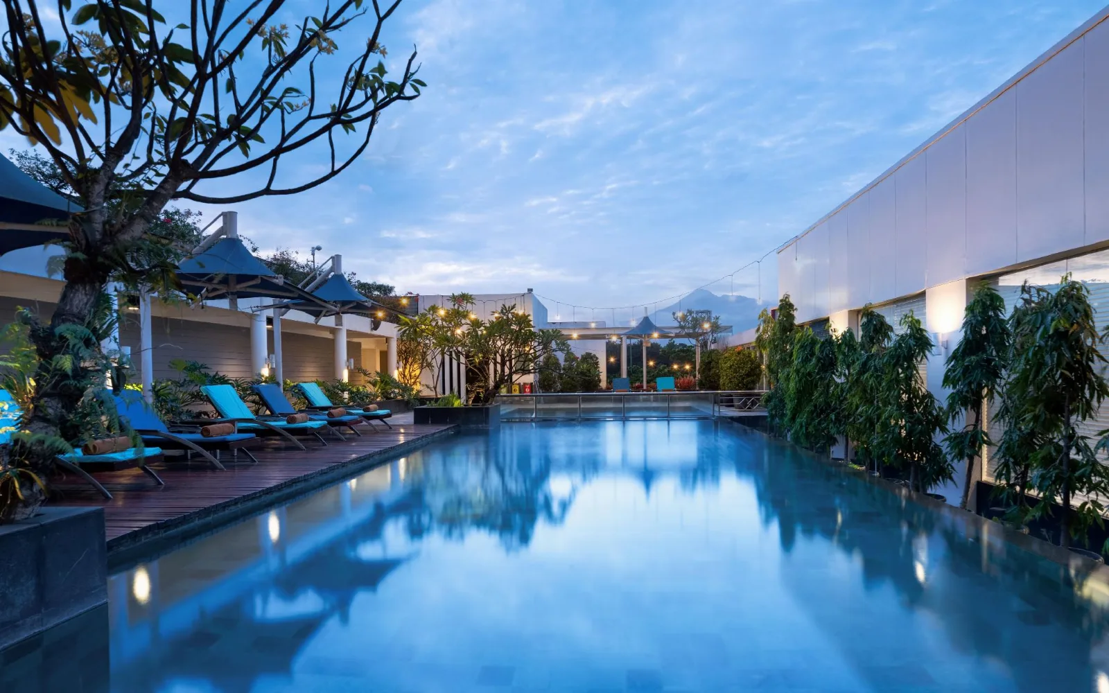 Edelweiss Lounge at Hotel Santika Bogor