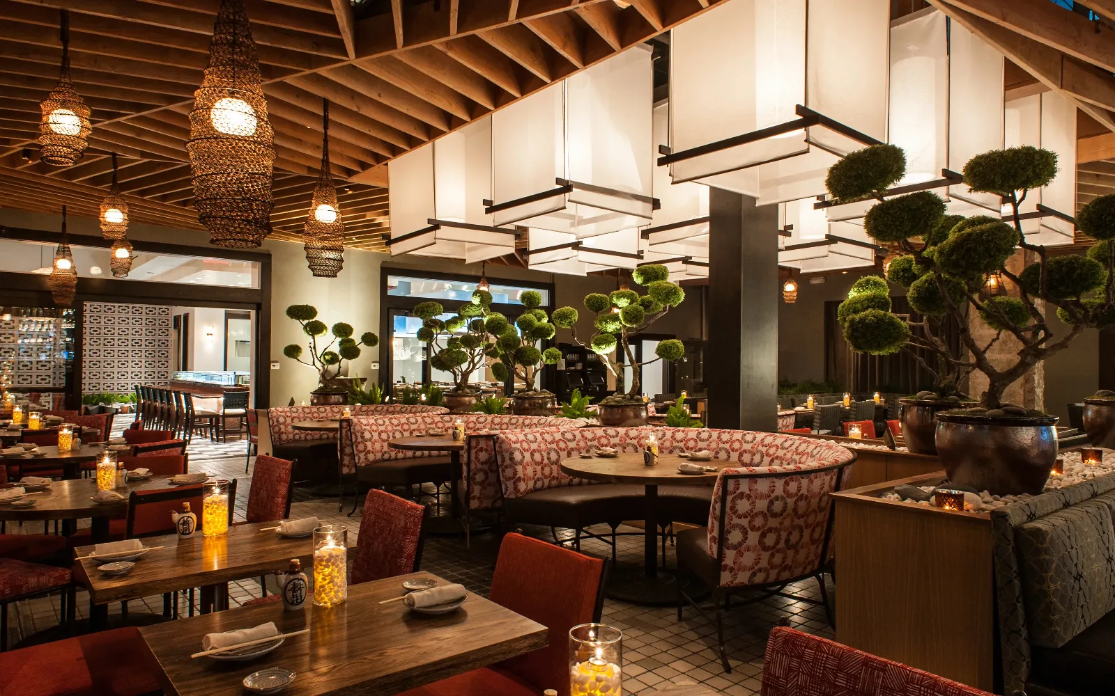Japa Kitchen & Bar