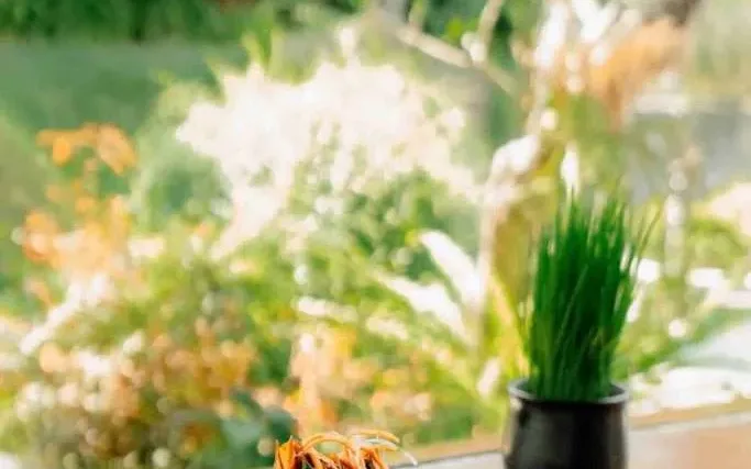 Lesung Restaurant at Visesa Ubud Villa and Resort