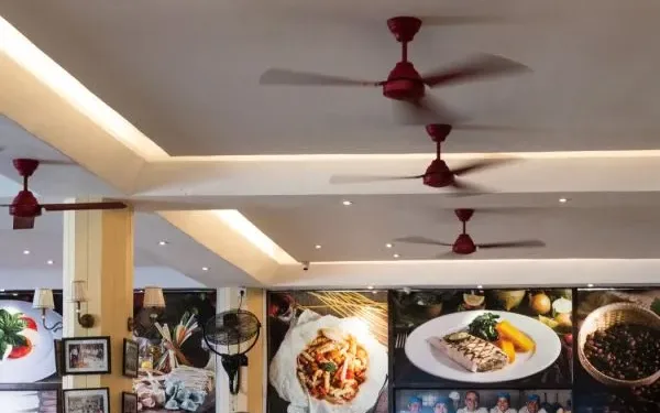 Massimo Italian Restaurant