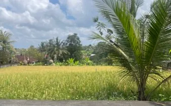 Monkey Bar at Ayung Resort Ubud