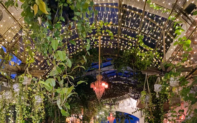 Penny Lane Bali