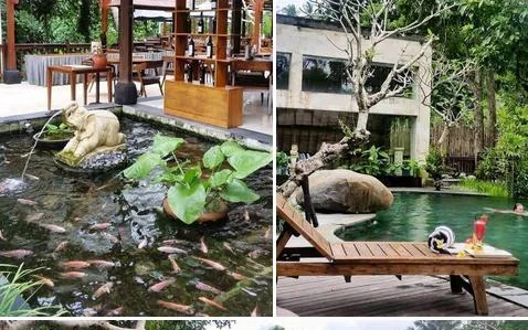 Pool Bar