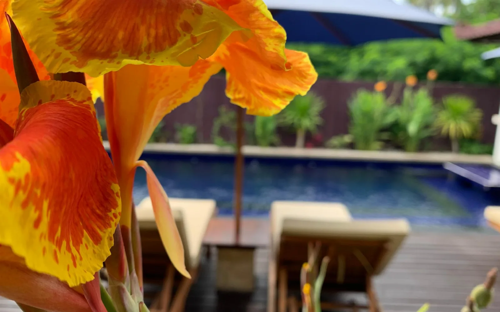 Relax Oceanfront Restaurant at Relax Villas Gili Air