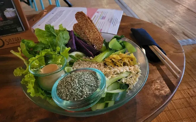 Sayuri Healing Food