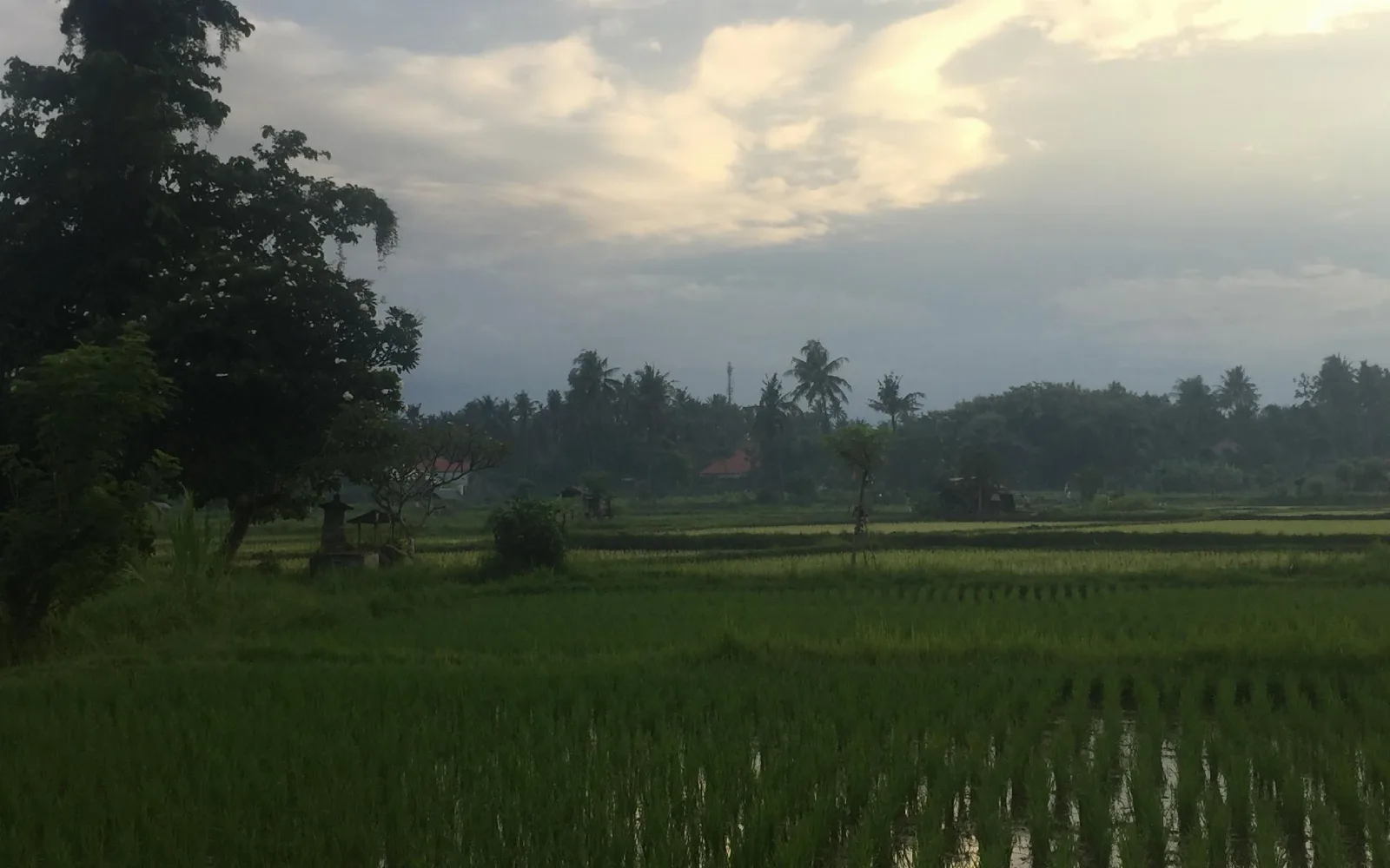 Small Restaurant at Small paradise near the ricefields