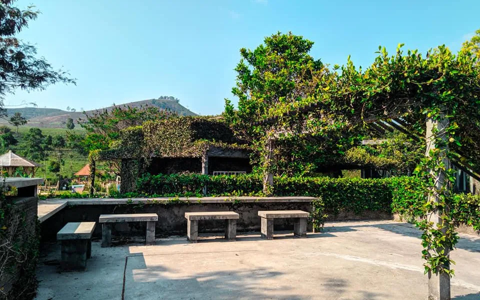 Tea Restaurant at Tea Garden Resort