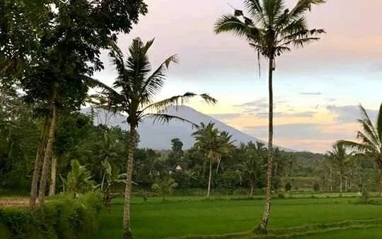 Tereng Oceanfront Restaurant at Tereng wilis bungalows
