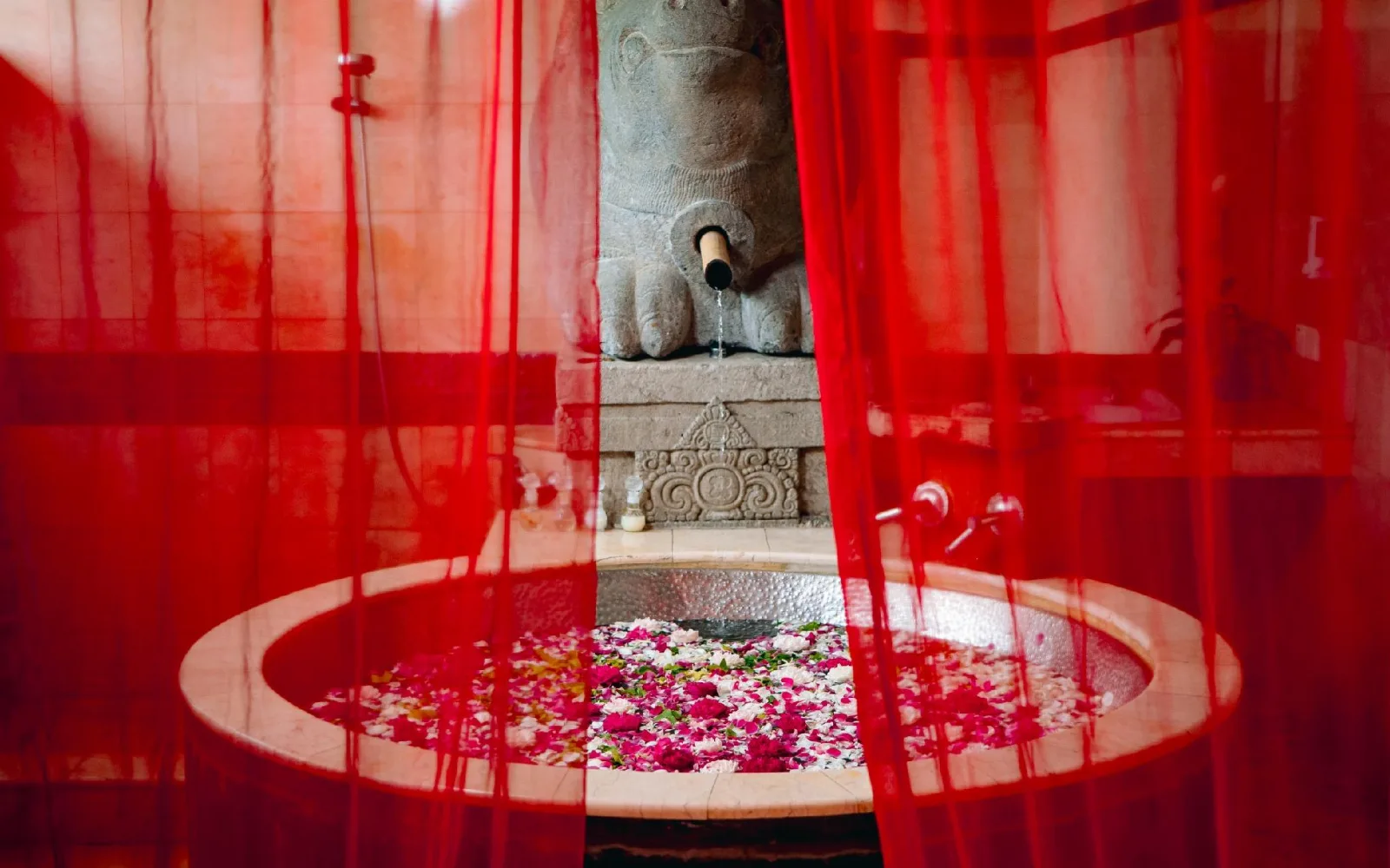The Babah Room & Wine Cellar