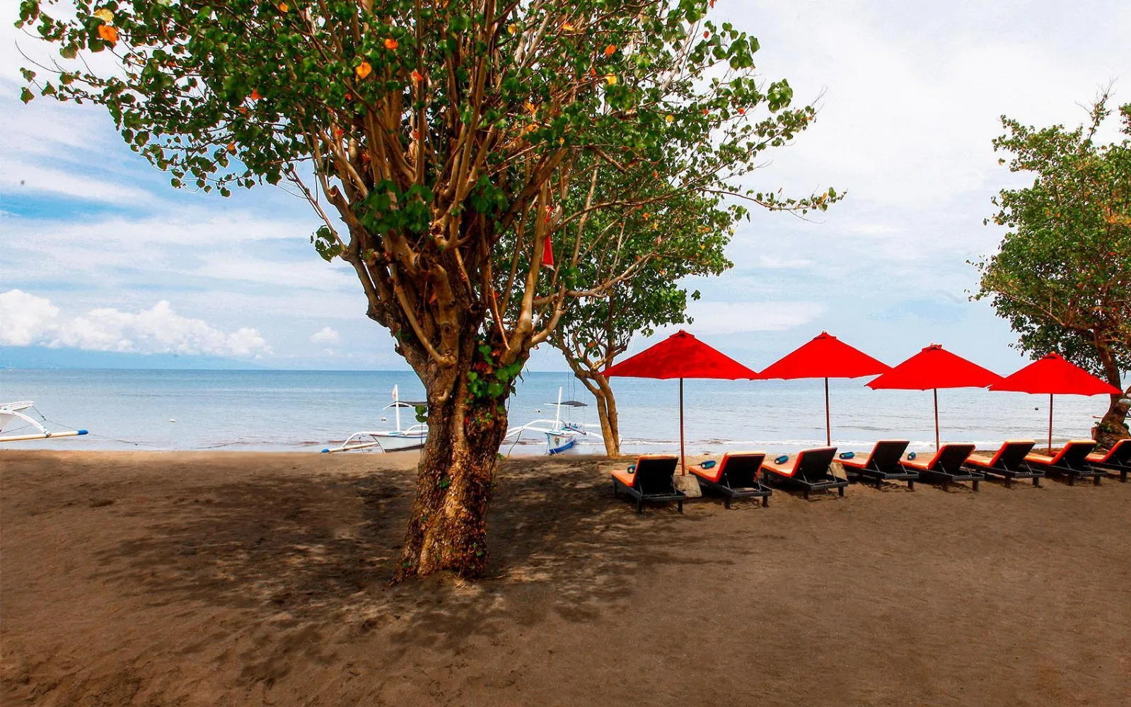 The Bali Lounge at Bali Taman Lovina Resort and Spa Suites