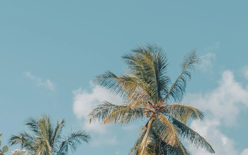 The Boni Beach Club & Lounge at Boni Beach Lombok Hotel and Villas