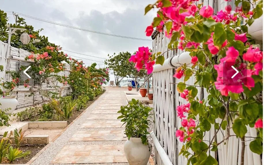 The Cafe Beach Club & Lounge at Cafe Gili Beach Bungalows