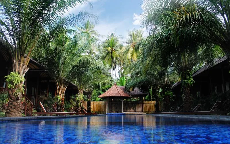 The Coconut Beach Club & Lounge