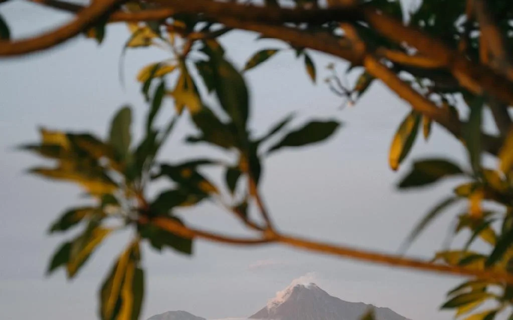 The Coffee Corner at PULANG ke UTTARA