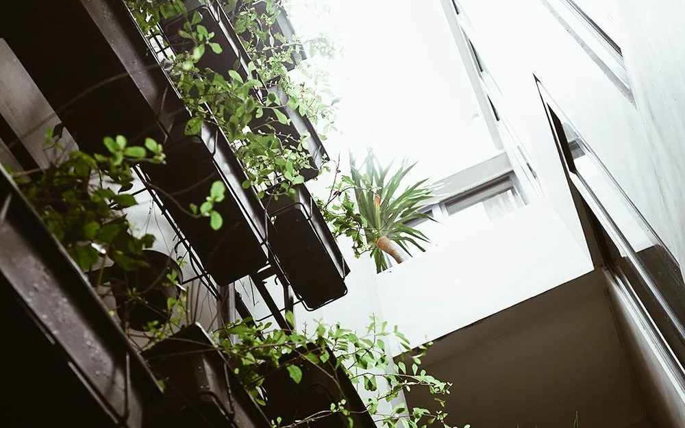 The Garden Lounge