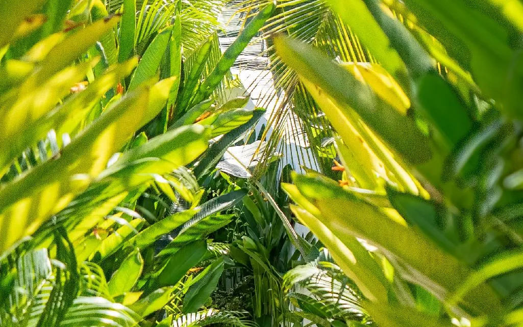 The Kalea Beach Club & Lounge