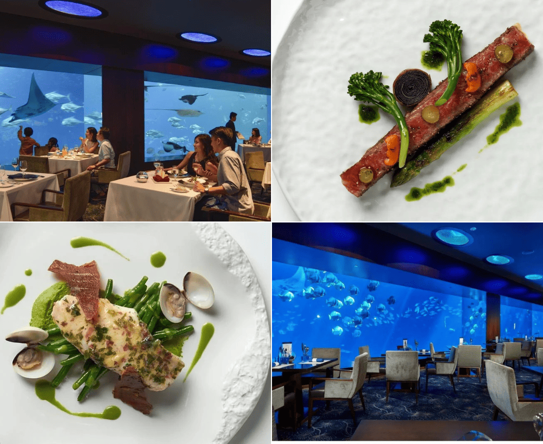 The Ocean Lounge at Ocean Heritage