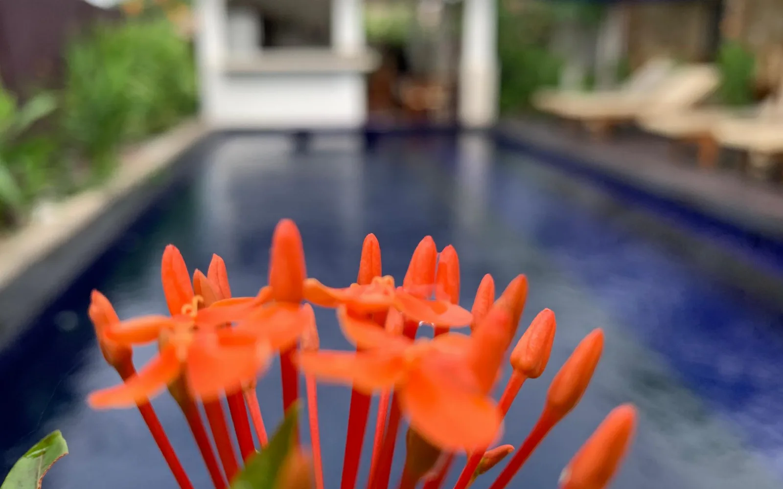 The Relax Beach Club & Lounge at Relax Villas Gili Air