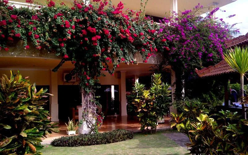 The Terrace Lounge at Bali Paradise Hotel - Boutique Resort