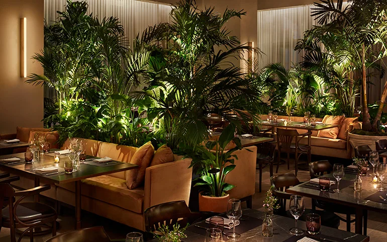 The Terrace Lounge at Mahogany Hotel