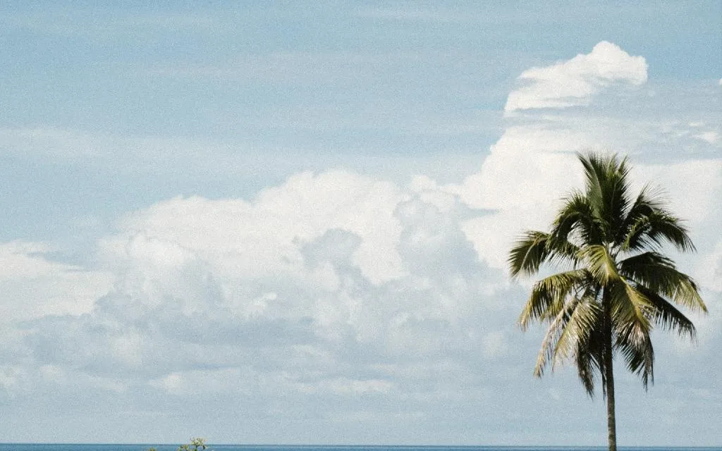 The Terrace Lounge at Tahuna Beach Hotel and Resort