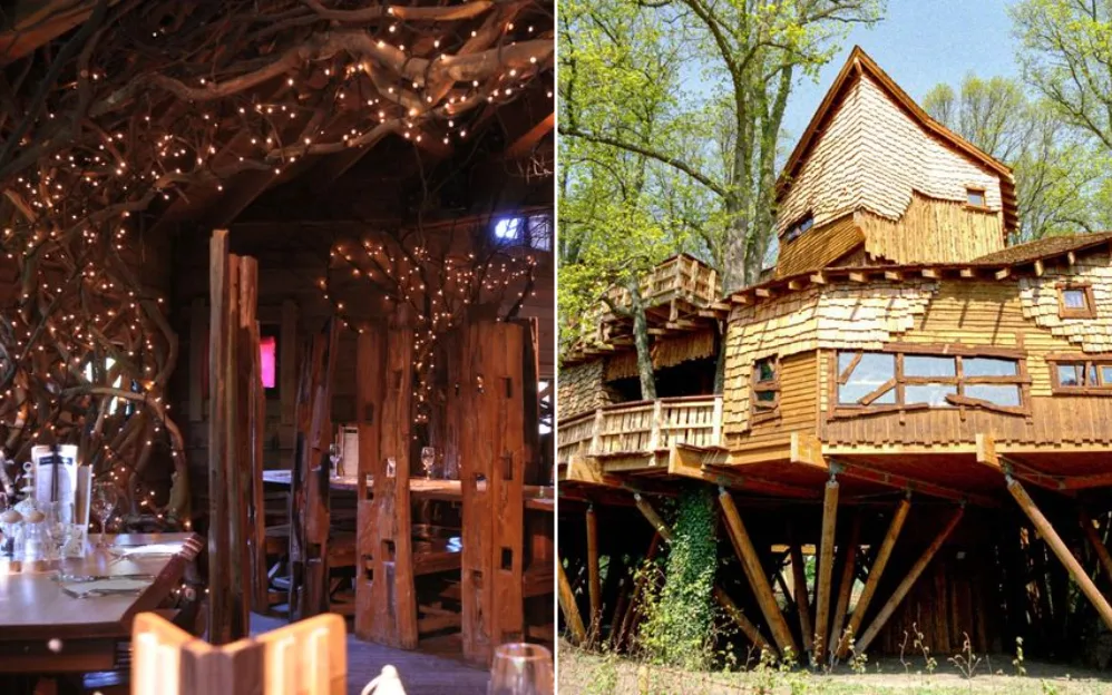 Tree Restaurant at The Tree House