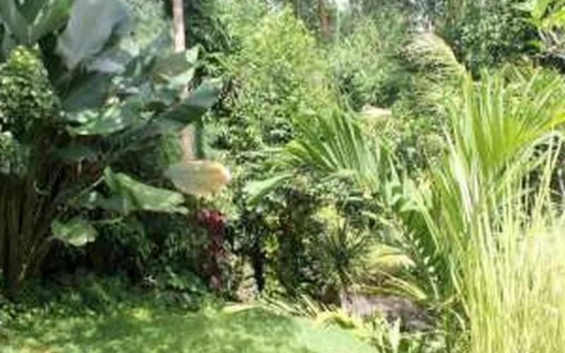 Aji Lodge