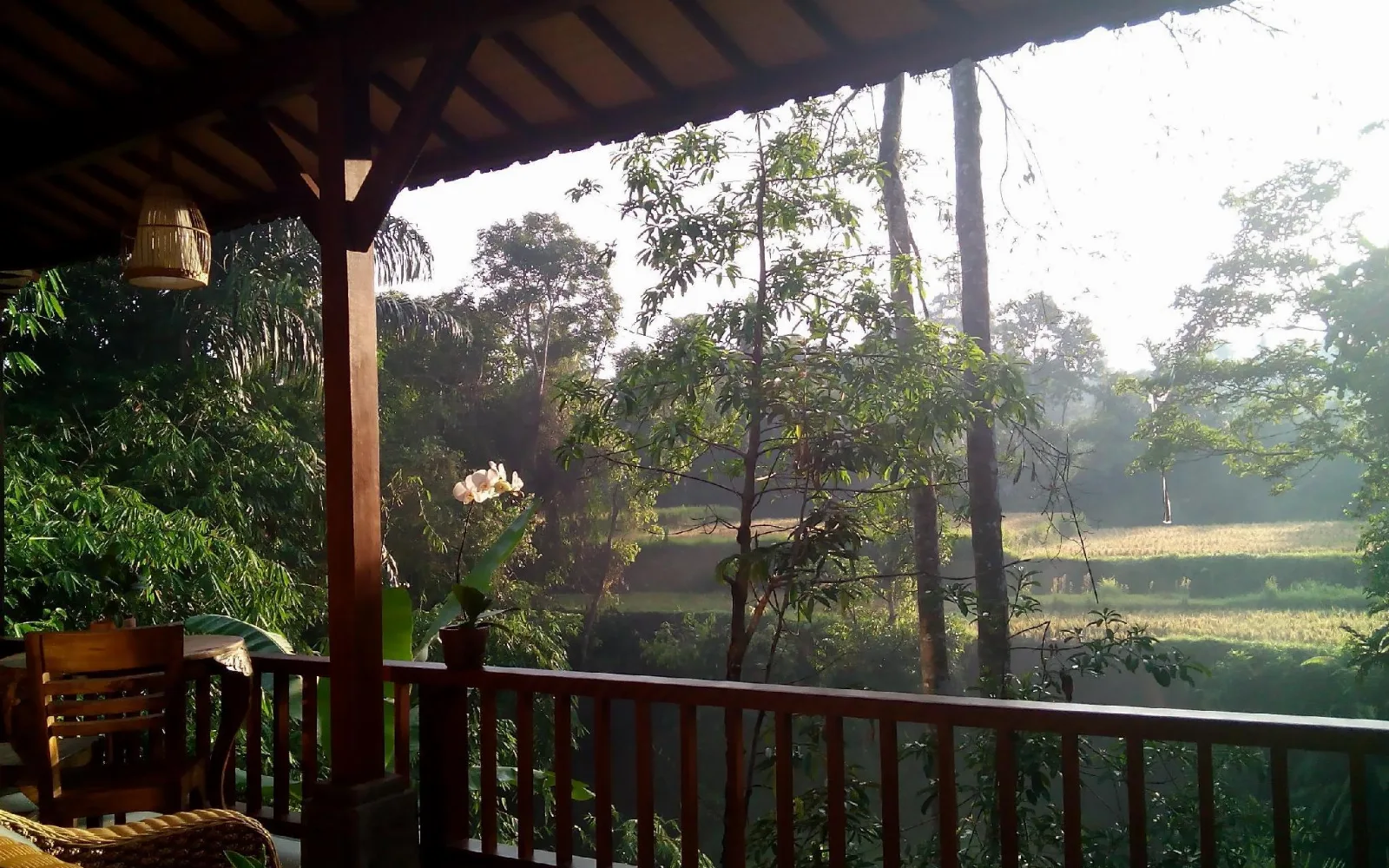 Alam Dania Cottage