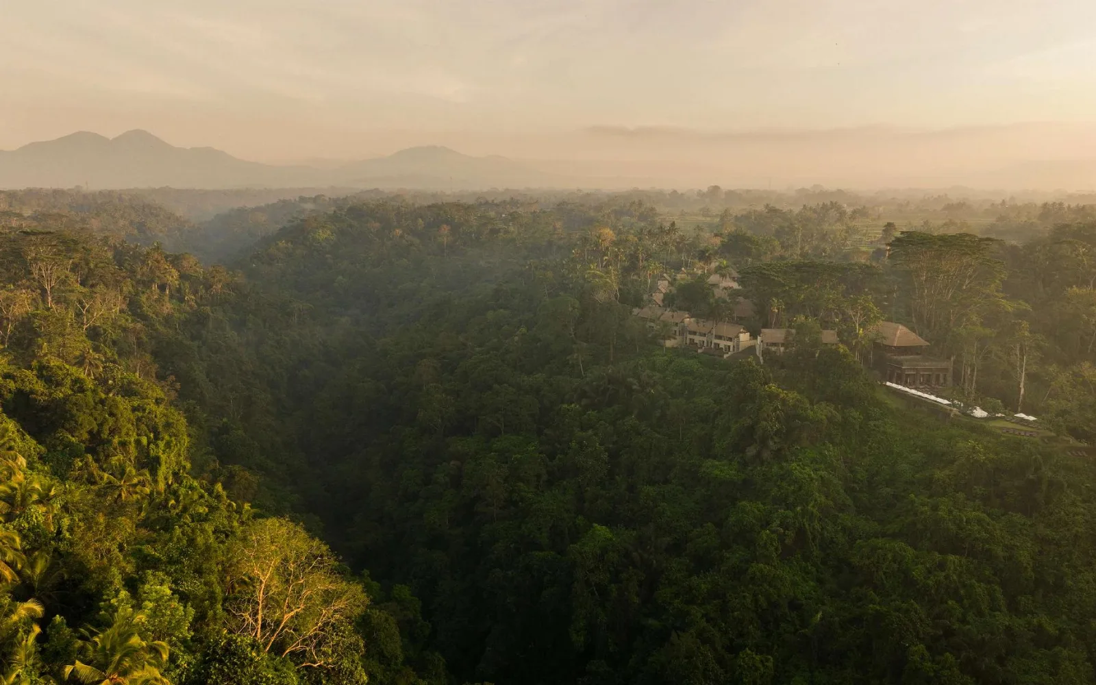 Alila Ubud