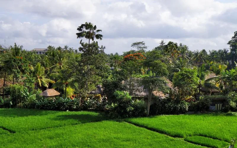Arma Museum Resort & Villas