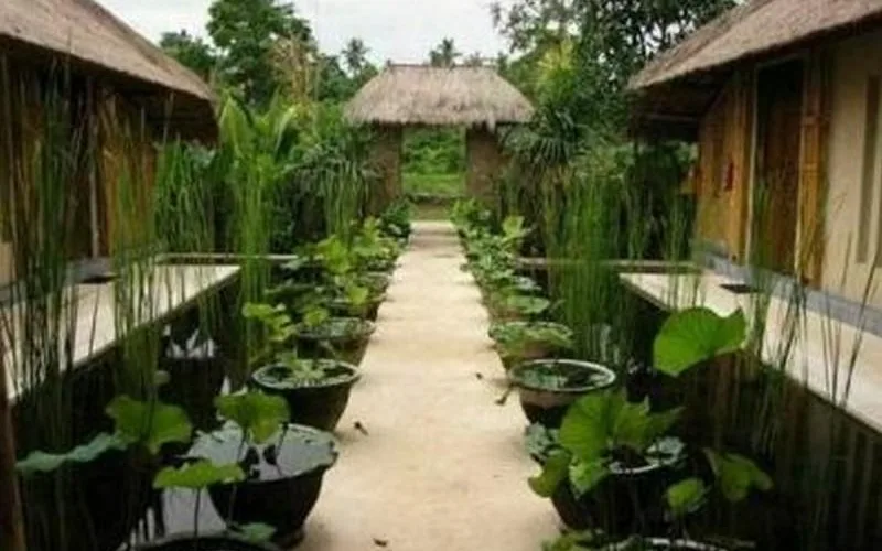 Baliwood Resort - The Mansion