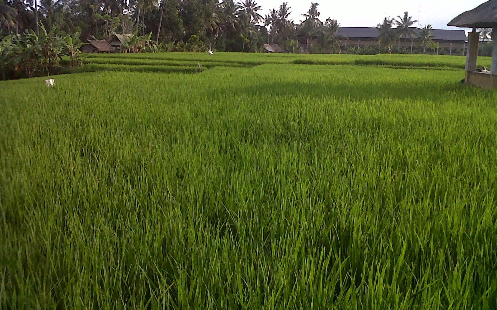 Biyukukung Suites & Spa