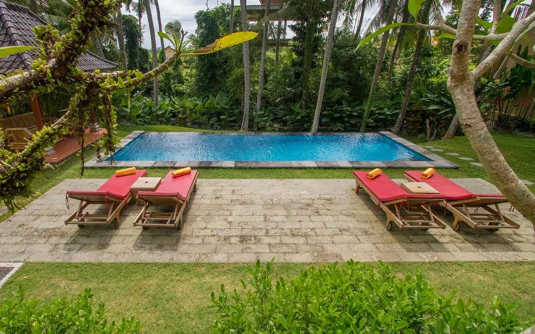 Buah Naga Sari Guest House