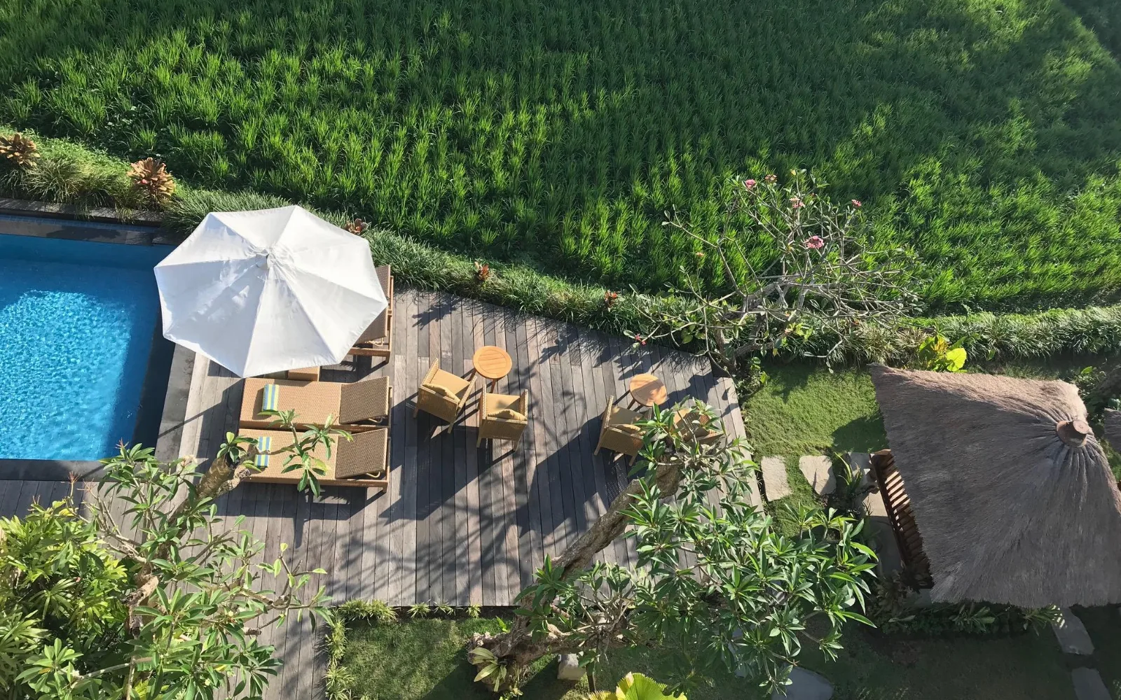 Byasa Ubud Hotel