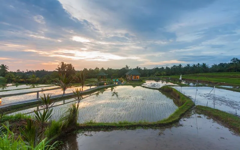 Cahaya Ubud Villa